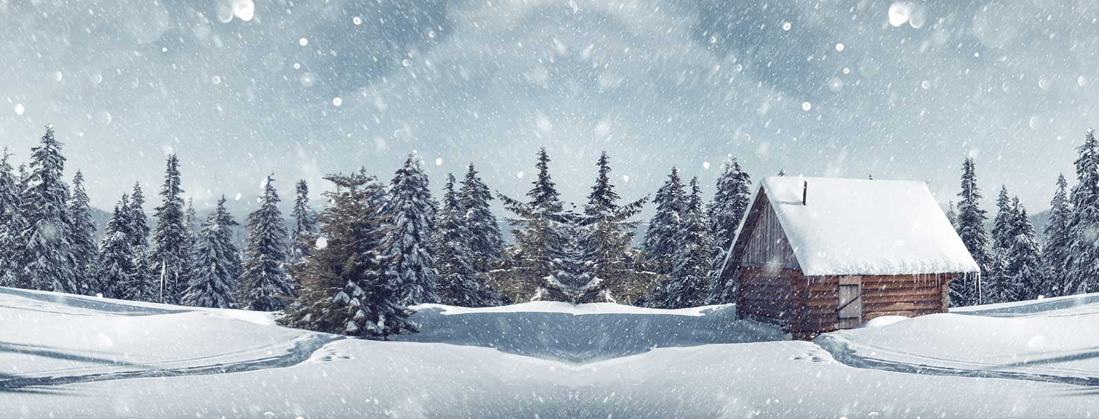 Winter scene with snow-covered evergreen trees and a snow-covered log cabin.